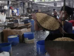 Penyaluran KUR 2025 Capai Rp131 Triliun, Pemerintah Luncurkan Skema Baru