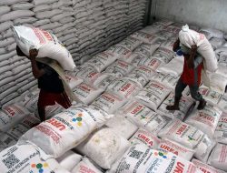 Kalbar Alokasikan 152.826 Ton Pupuk Subsidi untuk Sentra Padi dan Ubi Kayu
